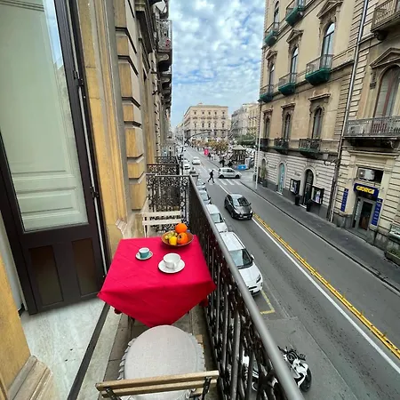 Guest house Catammari 3*
